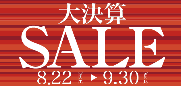 スライド画像